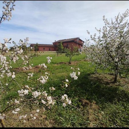 Il Casale di Giulia di Aprilia Bed & Breakfast Exterior foto