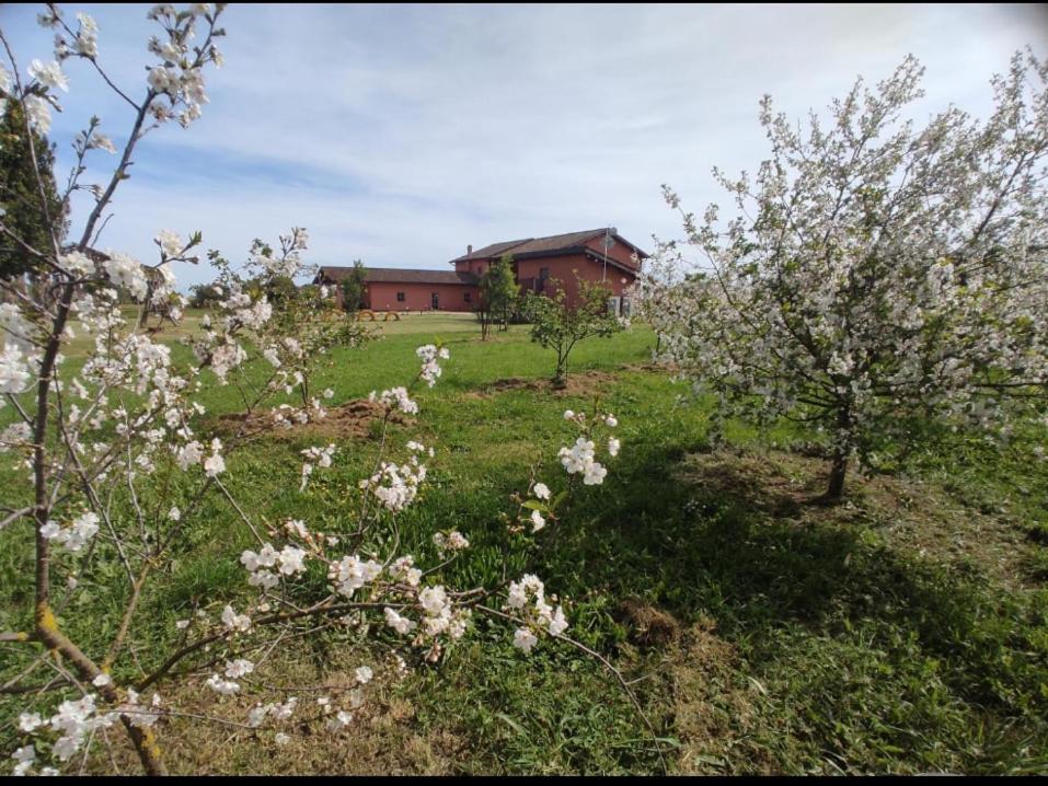 Il Casale di Giulia di Aprilia Bed & Breakfast Exterior foto